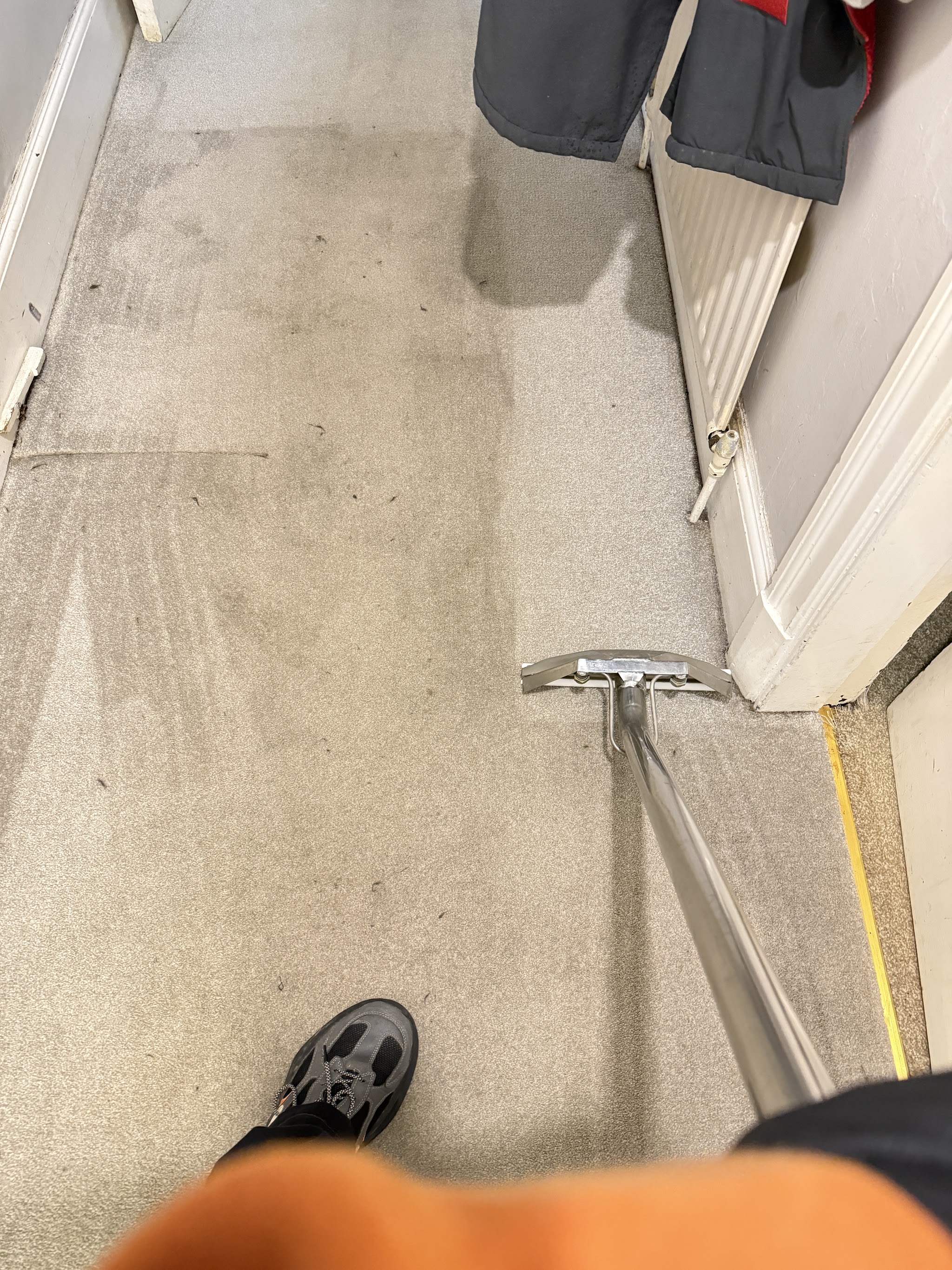 Extraction wand pulling a clean stripe along a pale carpet