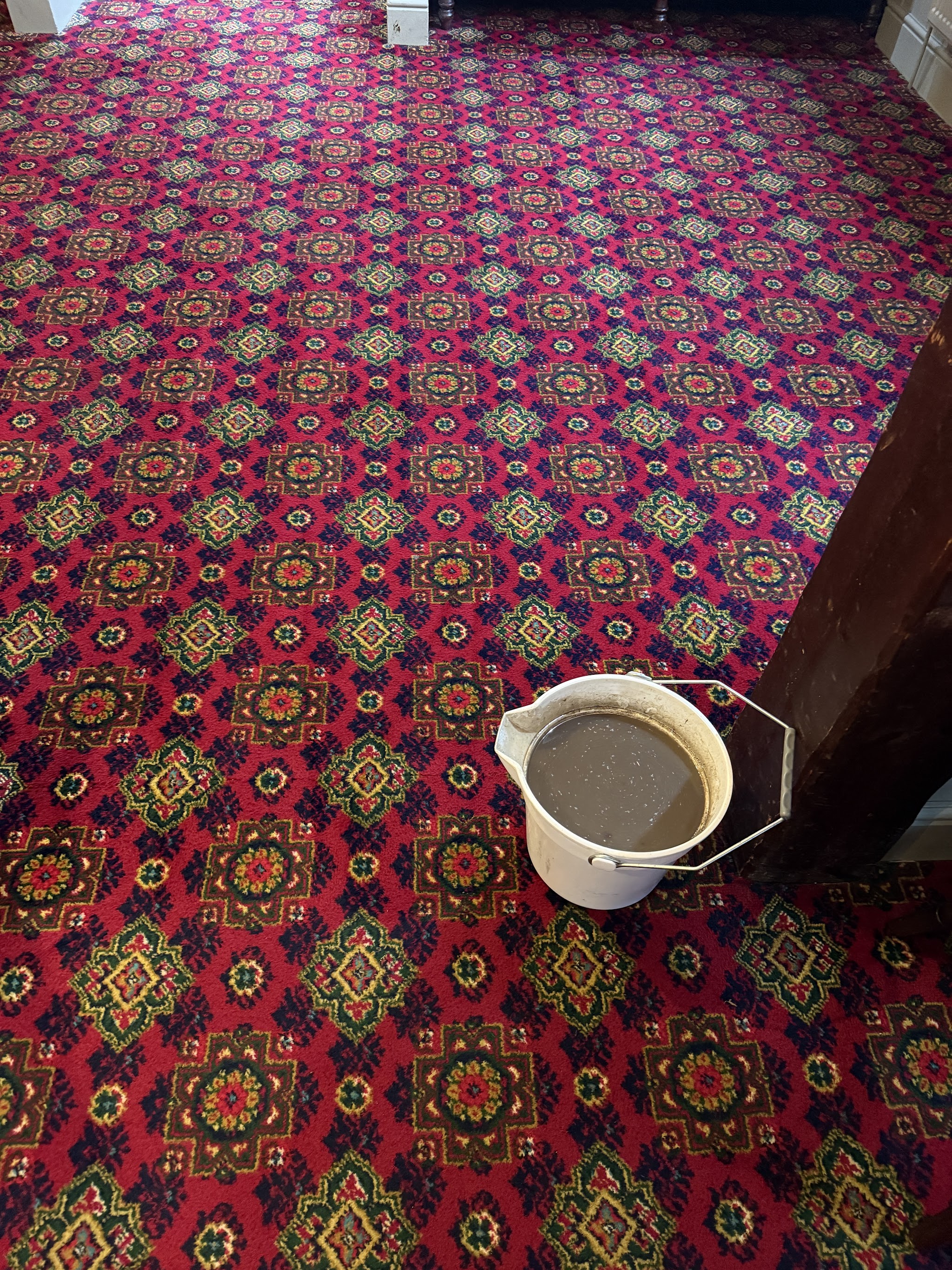 Red patterned carpet with a bucket of dirty cleaning water